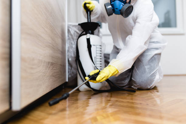 Best Cockroach Control Services  in Fayette, AL