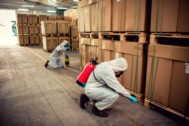 Reliable Fayette, AL Pest Control Solutions
