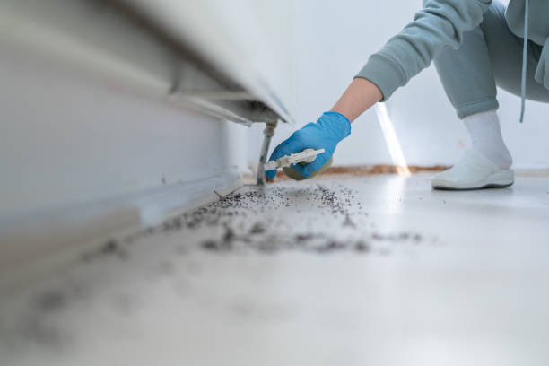 Best Commercial Pest Control Services  in Fayette, AL